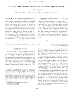 Maximal lactate steady state during exercise in blood of horses