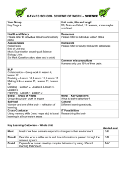 gaynes school scheme of work b6