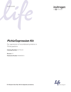 Pichia Expression Kit - Thermo Fisher Scientific
