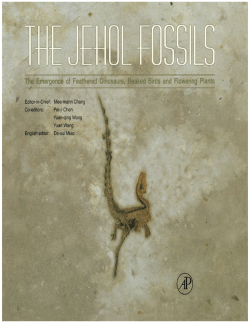 PDF sample - Northern Central Hospital