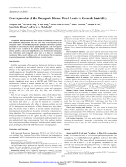 Overexpression of the Oncogenic Kinase Pim-1