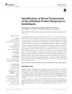 Identification of Novel Components of the Unfolded Protein