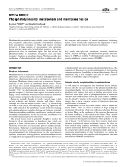 Phosphatidylinositol metabolism and membrane fusion