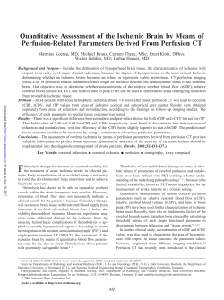 Quantitative Assessment of the Ischemic Brain by Means of