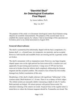 Starchild Final Report