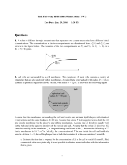 HW2 - York University