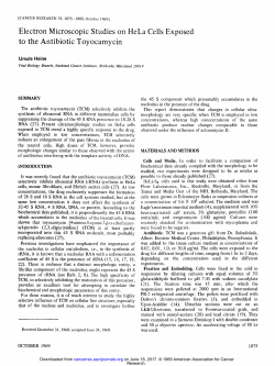 Electron Microscopic Studies on HeLa Cells