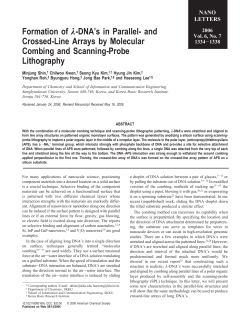 Formation of &lambda;-DNA`s in Parallel-and Crossed
