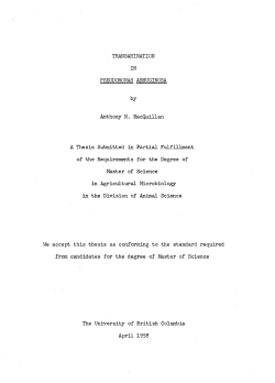 TRANSAMINATION IN PSEUDOMONAS AERUGINOSA by Anthony