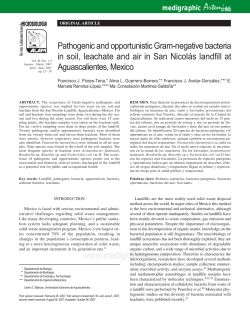 Pathogenic and opportunistic Gram-negative bacteria