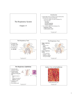 bio13aclassnoteschap15 respfall08