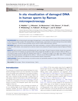 In situ visualization of damaged DNA in human sperm by Raman
