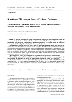 Selection of Microscopic Fungi