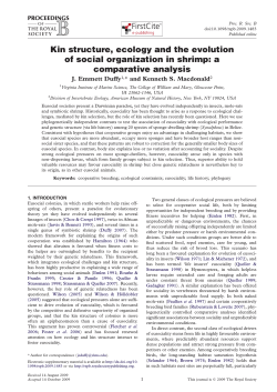 Kin structure, ecology and the evolution of social organization in