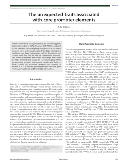 The unexpected traits associated with core promoter elements