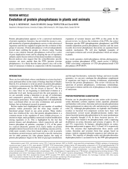Evolution of protein phosphatases in plants and animals