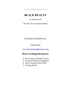 black beauty - Horse Training Resources