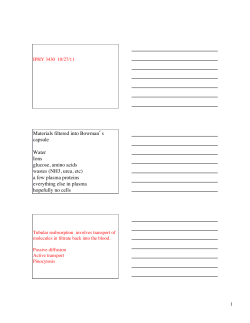 Materials filtered into Bowman`s capsule Water Ions glucose, amino