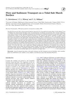 Flow and Sediment Transport on a Tidal Salt Marsh Surface