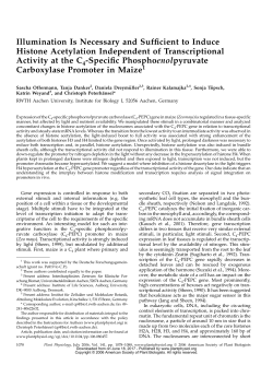 Illumination Is Necessary and Sufficient to Induce Histone