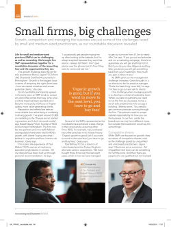Small firms, big challenges