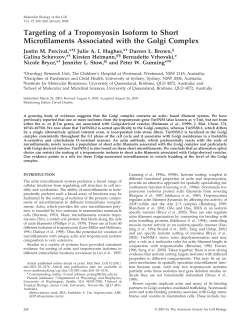 Targeting of a Tropomyosin Isoform to Short