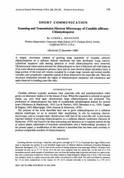 SHORT COMMUNICATION Scanning and