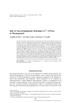 Role of Sarco/Endoplasmic Reticulum Ca