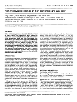 Non-methylated islands in fish genomes are GC-poor