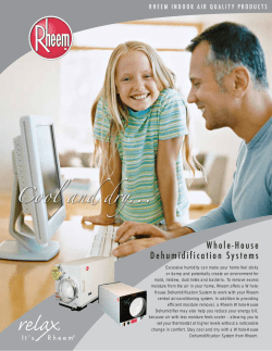 rheem indoor air quality products