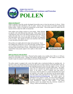 pollen - Forsyth County