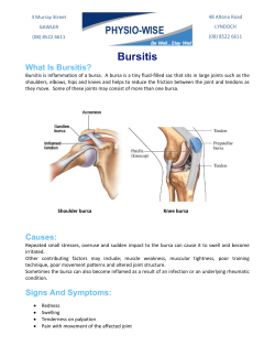 Bursitis - Physio-Wise