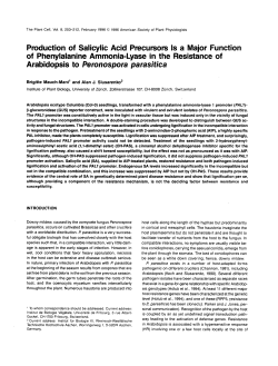 Production of Salicylic Acid Precursors 1s a Major Function of