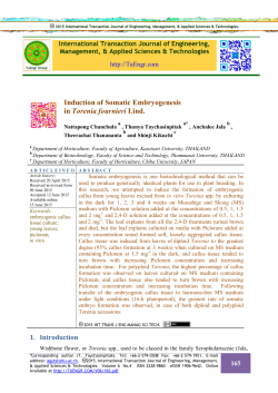 Induction of Somatic Embryogenesis in Torenia fournieri Lind.