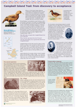Campbell Island Teal: from discovery to acceptance