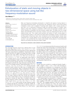 Echolocation of static and moving objects in two