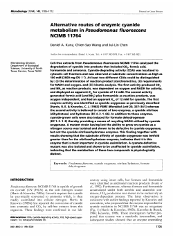 Alternative routes of enzymic cyanide metabolism in
