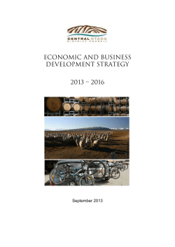 Economic and Business Development Strategy 2013-2016