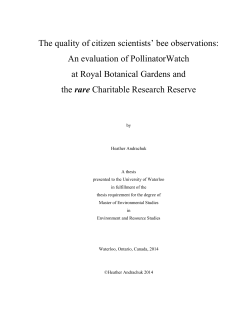 The quality of citizen scientists` bee observations: An evaluation of
