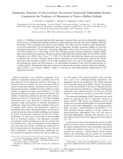 Quaternary Structure of Dictyostelium discoideum Nucleoside