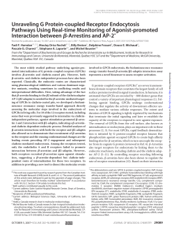 Unraveling G Protein-coupled Receptor Endocytosis Pathways