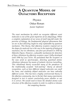 A Quantum Model of Olfactory Reception
