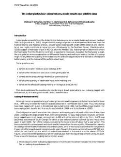 On iceberg behaviour: observations, model results and satellite data