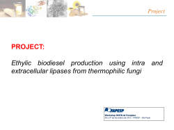 Ethylic biodiesel production using intra and extracellular