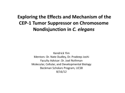 Presentation Slides - Beckman Scholars | CSEP | UC Santa Barbara