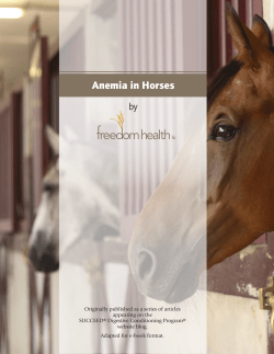Anemia in Horses