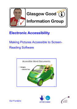 Electronic Accessibility - Scottish Accessible Information Forum