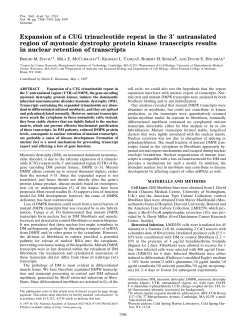 Expansion of a CUG trinucleotide repeat in the 3