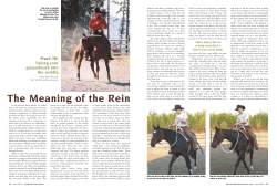 The Meaning of the Rein