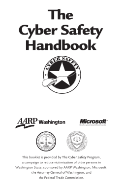 The Cyber Safety Handbook